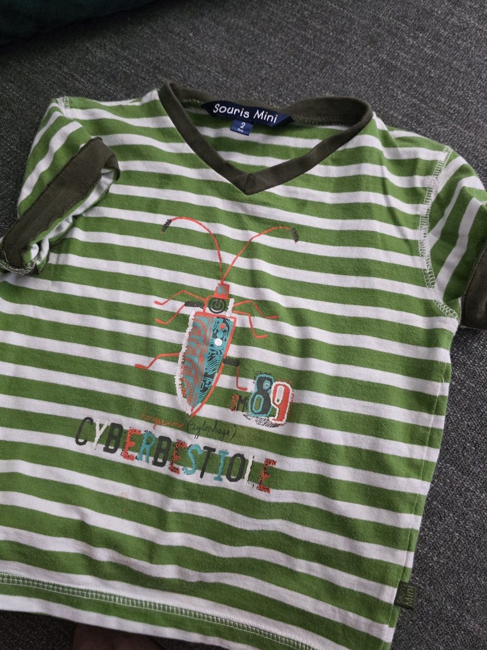 Green & White Striped Kids Tee with Bug Graphic